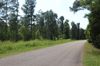 Youngblood & Star Road photo